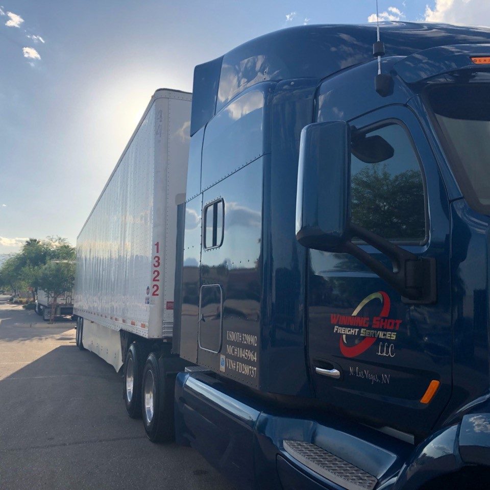 Winning Shot Freight Graphics